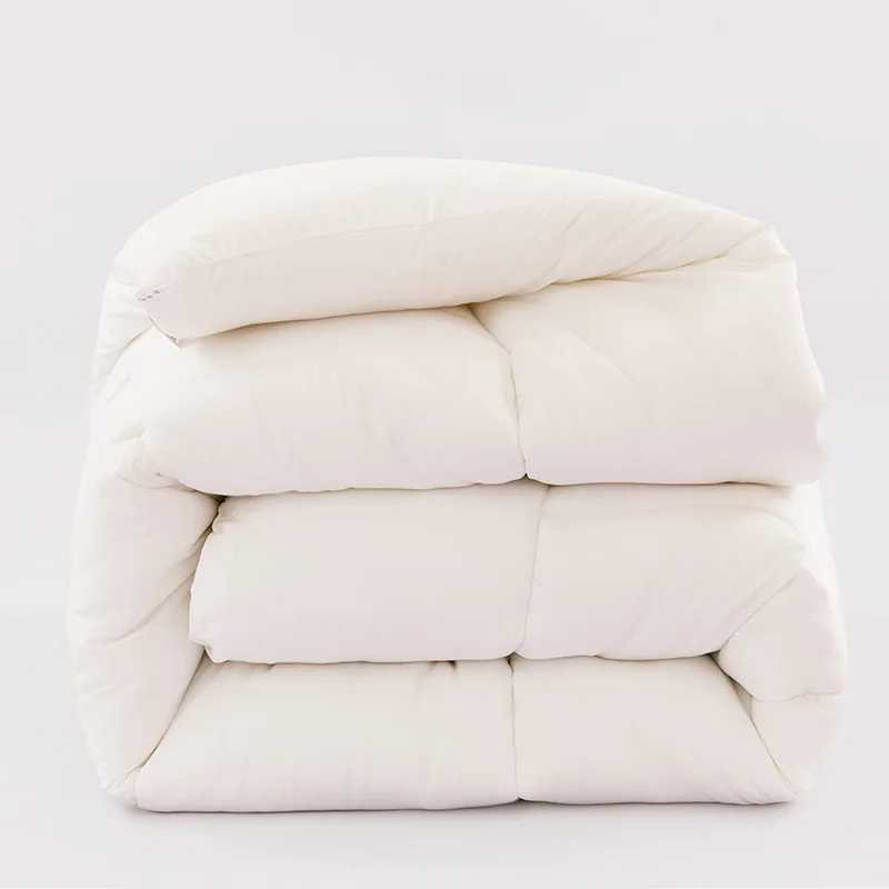 Winter thermal polyester cotton double core 220*240cm extra large white hotel four seasons thickened quilt
