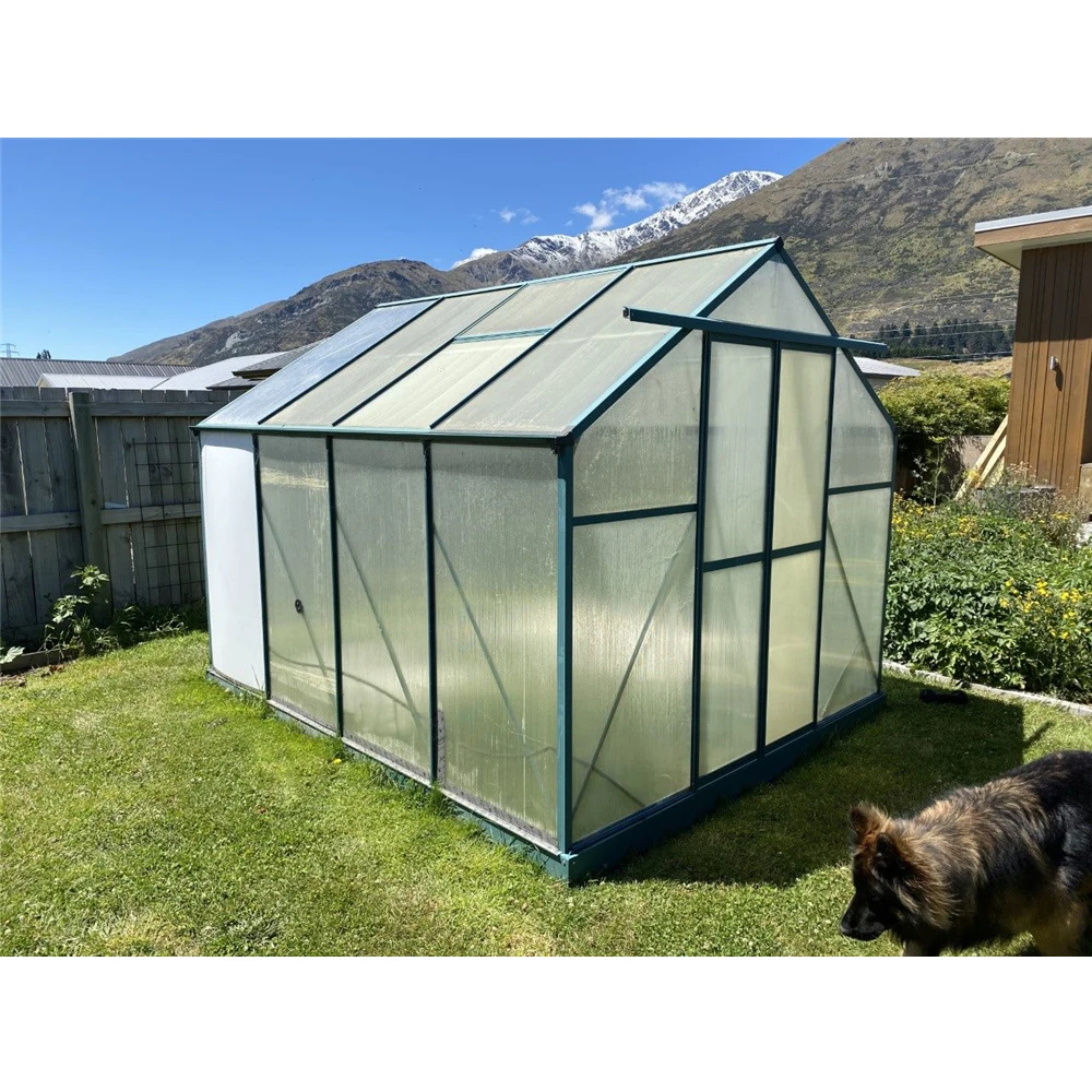 Backyard Garden Greenhouse  Growing Tent Walk-In  Green House Outdoor Tunnel Plant Growing Hothouse