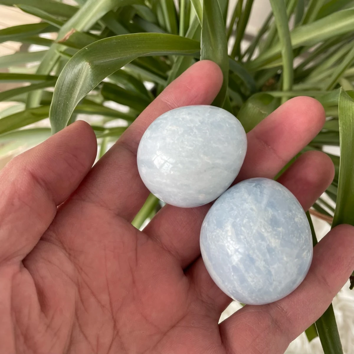 Натуральное Хрустальное ремесленное яйцо голубое кальцитовое Celestite для подарка