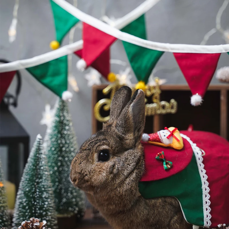 New year Christmas Christmas clothes flag guinea pig chinchilla Christmas cloth bag grass rack traction rope rabbit vest clothes