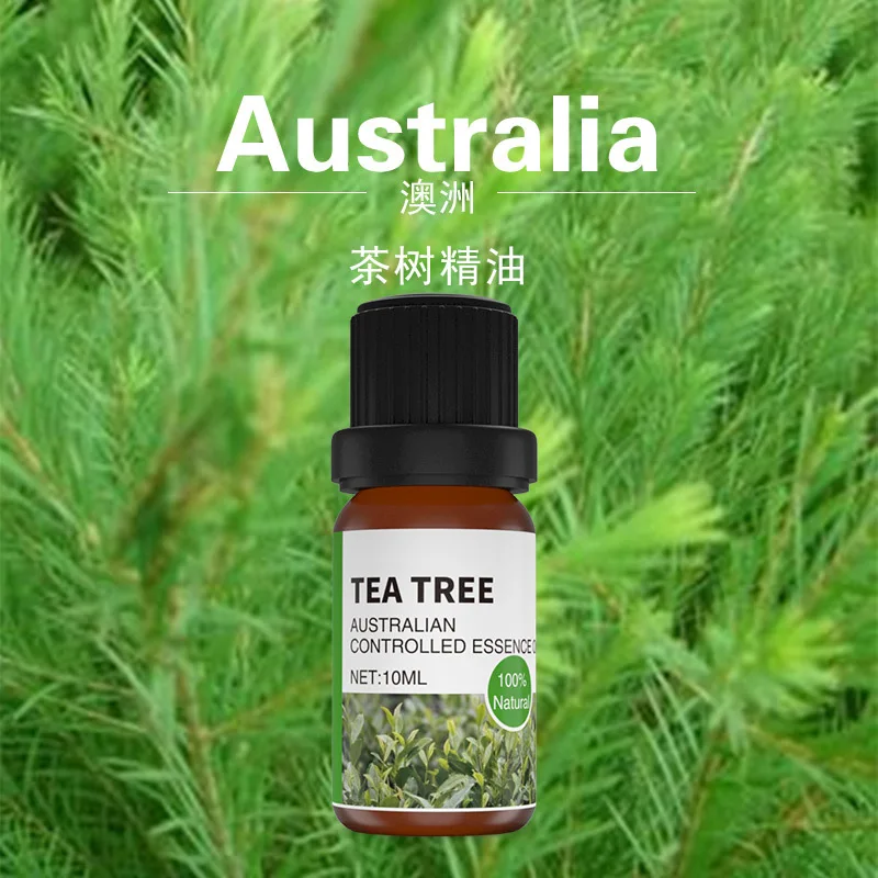 
 Увлажняющий крем для тела, 100% натуральные чайные листья, лечение акне, чистое эфирное масло  