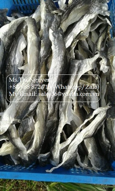 
FACTORY FRIED FISH SKIN - CRISPY FISH SKIN/ SNACK FISH SKIN FROM SALMON/ PANGASIUS BULK SO CHEAP FROM VIET NAM 