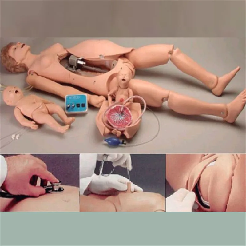BIX-F55 Chinon Nursing Female Organ Model Delivery Mechanism Labor Simulator Birth Control Training