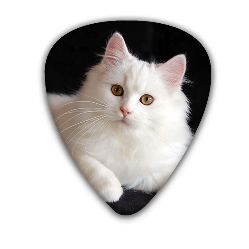 special design  0.71mm cute cat series acoustic Guitar Picks 6 designs for you chose