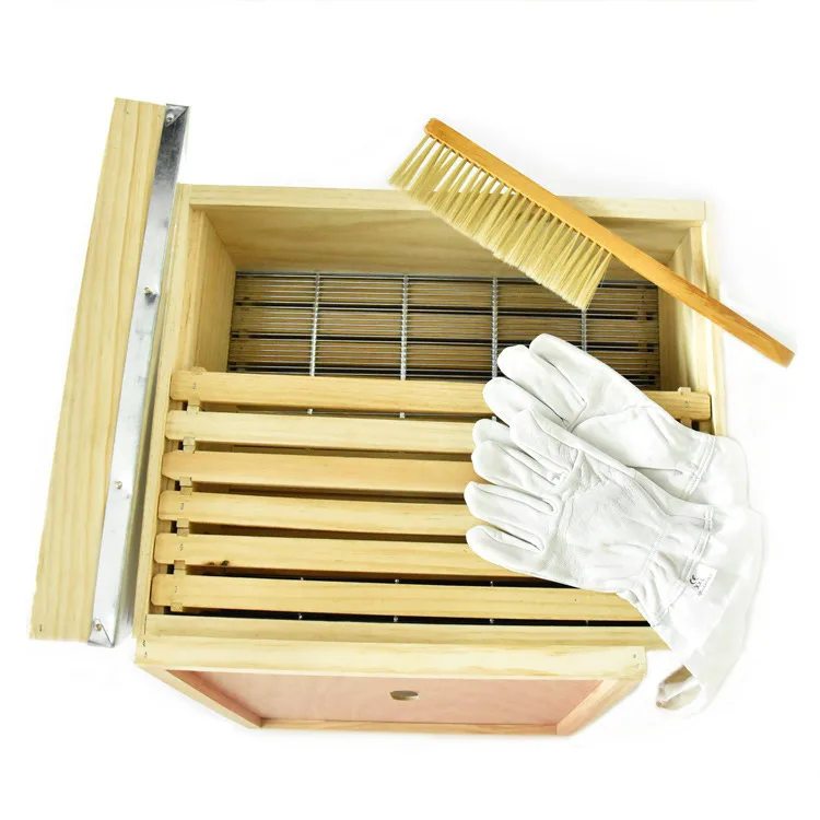 2024 new Beekeeping equipment wood beehive 10 frames 8 frame for langstroth bee hive