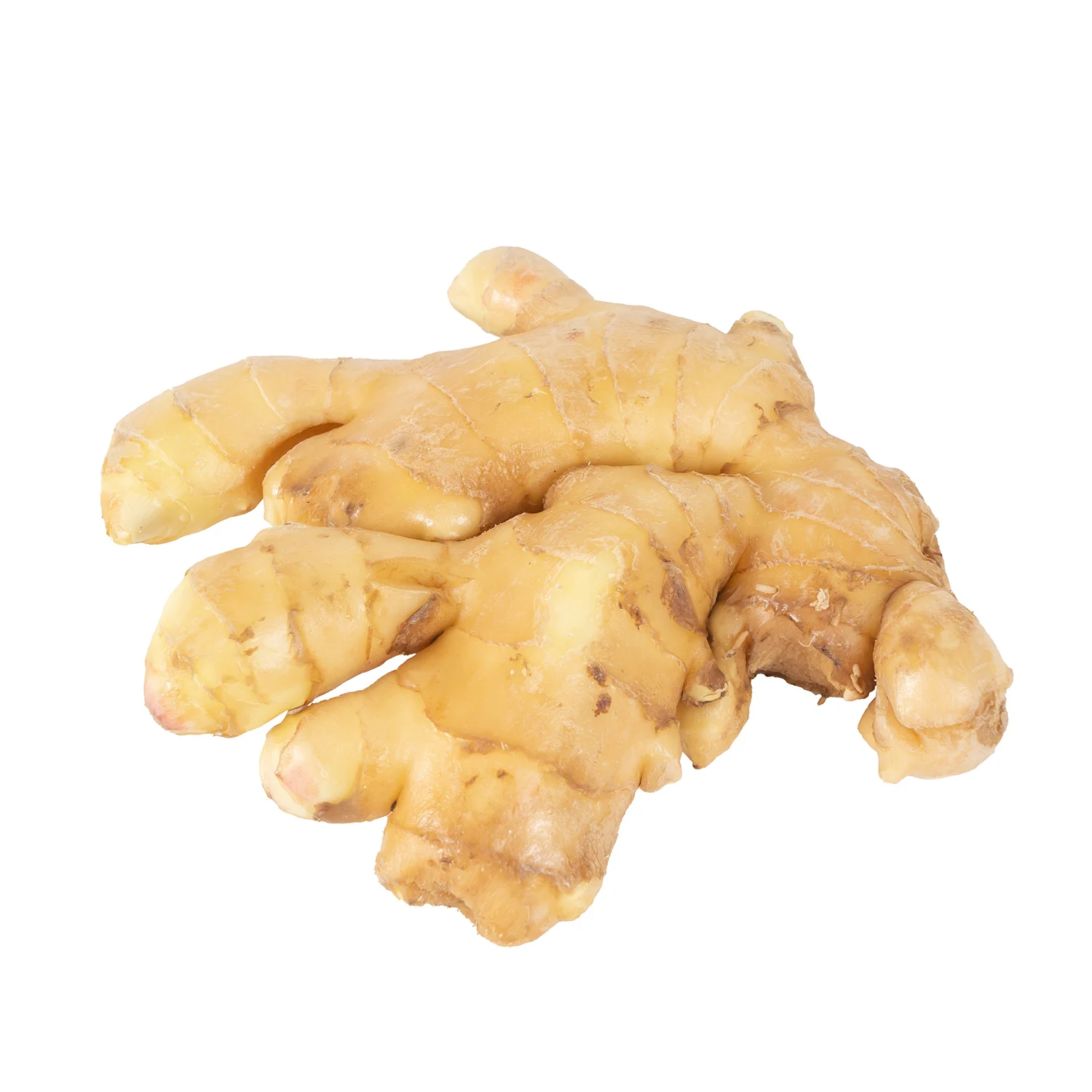  Fresh Bulk Organic Ginger sale in