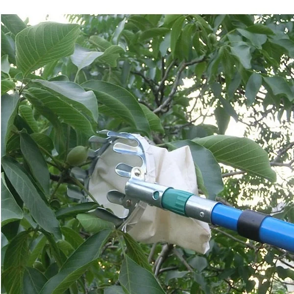 CNER Advanced materials carbon fiber telescopic pole with flip clamp lock/CNER harvest extendable telescopic pole for betel nuts