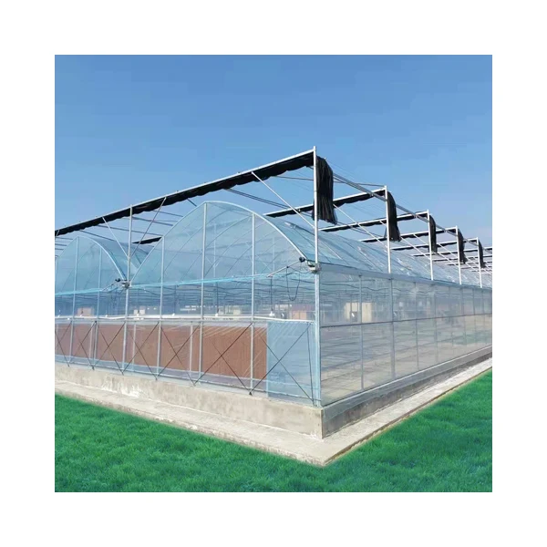 Sale Multi-Span Greenhouse Hydroponic System Agricultural Film Covered for Climate Control of Tomatoes & Cucumbers Green house