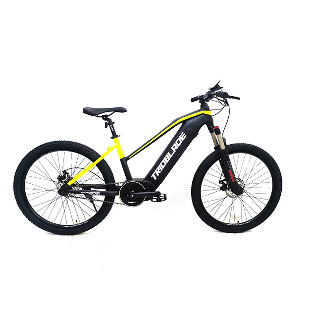 Hot sale E300 Torque e bike with rear drive motor 350w 500w electric mountain bike 27.5 29 inch