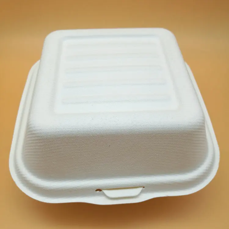 
biodegradable sugarcane pulp 6