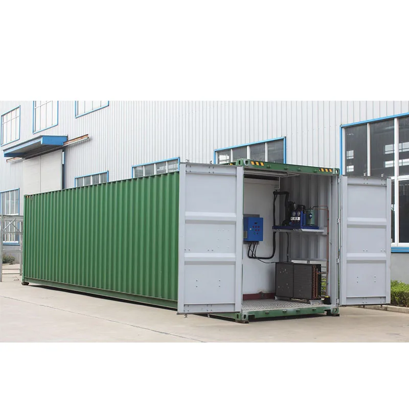 high quality Mini Cold Refrigerator Storage Room for fish 40ft cold storage container