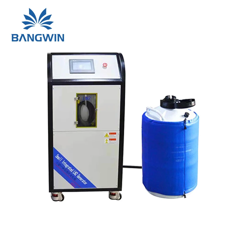 BW Industry Food Liquid Nitrogen Generator Gas Plant Cylinder Filling Station Psa Nitrogen Generator