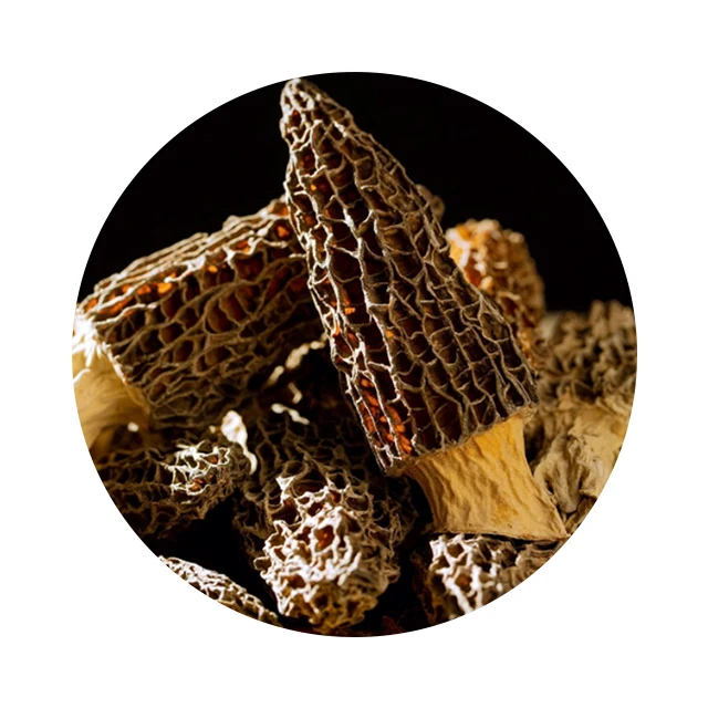Natural grow wild morel mushroom dry wholesale price morel mushroom
