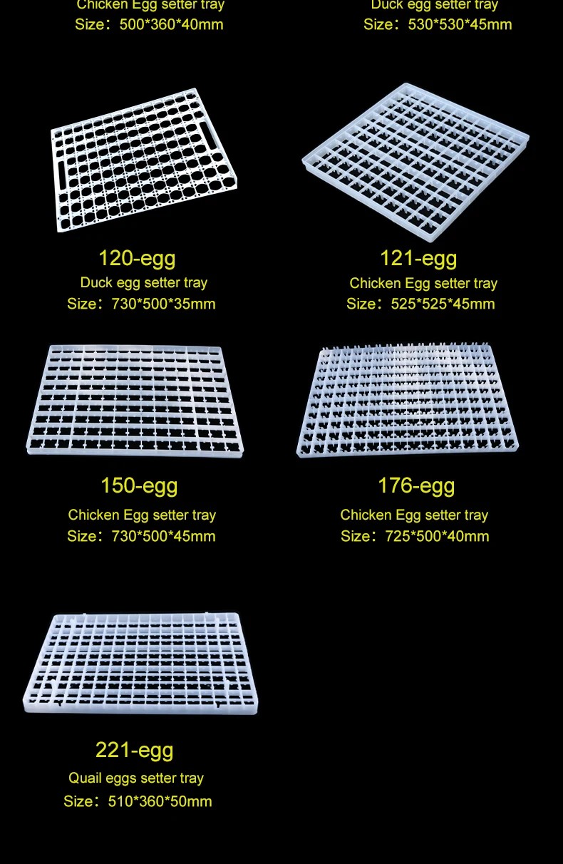 poultry egg tray (1)