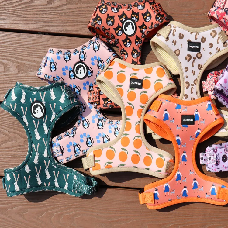 Custom Logo luxury fashion adjustable velvet neoprene printed pet dog leash reversible chest harness