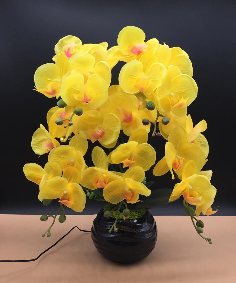 Indoor Decoration Real Touch PU Artificial Flower Big Moth Orchid with Warm White LED Bead ODM support