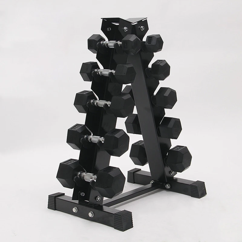 Gym Equipment Premium Round Rubber Dumbbells Fixed 10KG Dumbbell Sets for Weightlifting