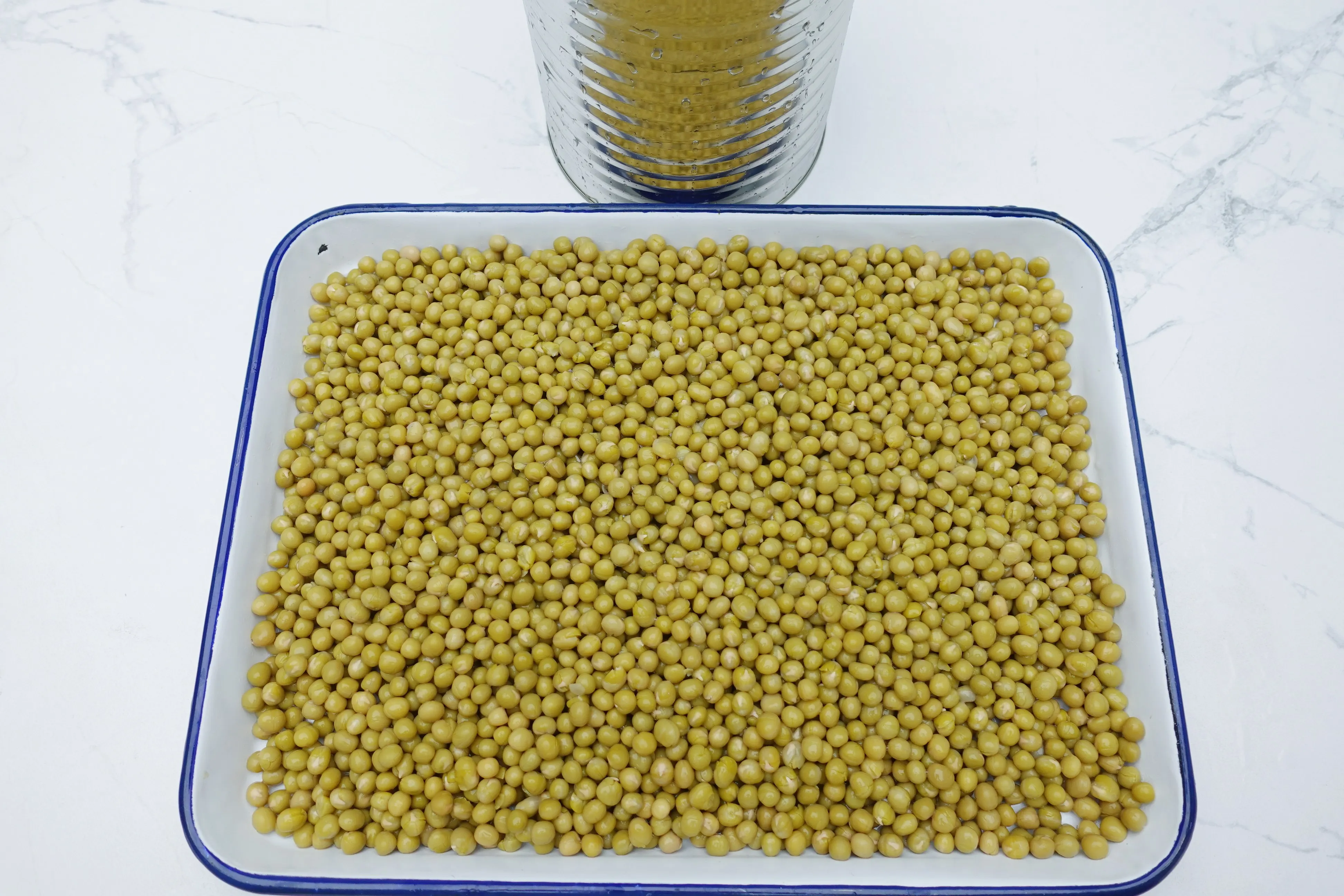 3 KG big size wholesale canned green peas healthy beans vegetable in brine can food
