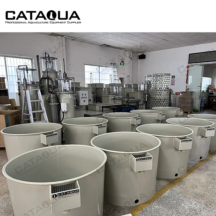 CATAQUA Hot Sale Indoor Fish Farm Recirculating Aquaculture System Equipment Mini Small Fish Farming Tank