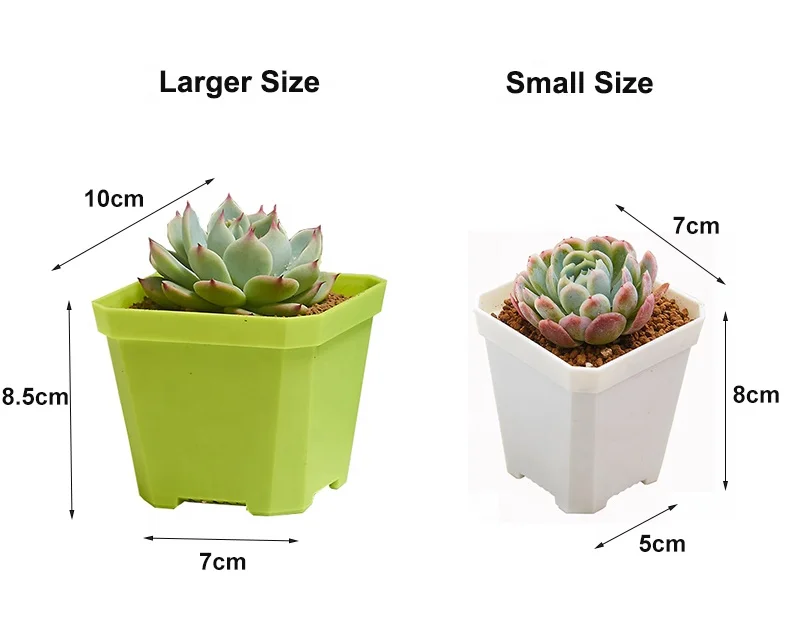Garden Supplies Decorations For Home 2.75 4 Inch Square Thick Transparent Clear Colorful Succulent Plant Pot