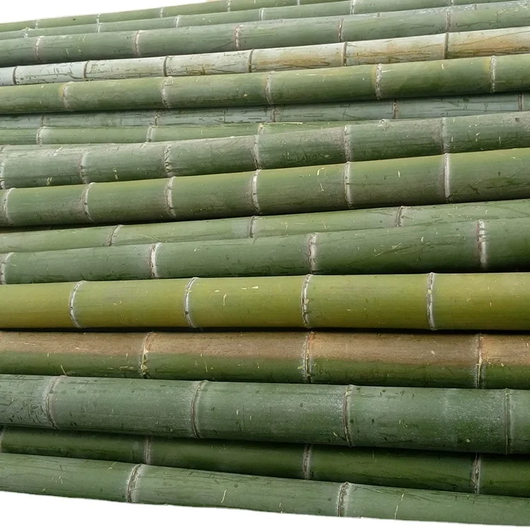 Custom Size Bamboo Garden Stakes Bamboo Sticks For Agriculture
