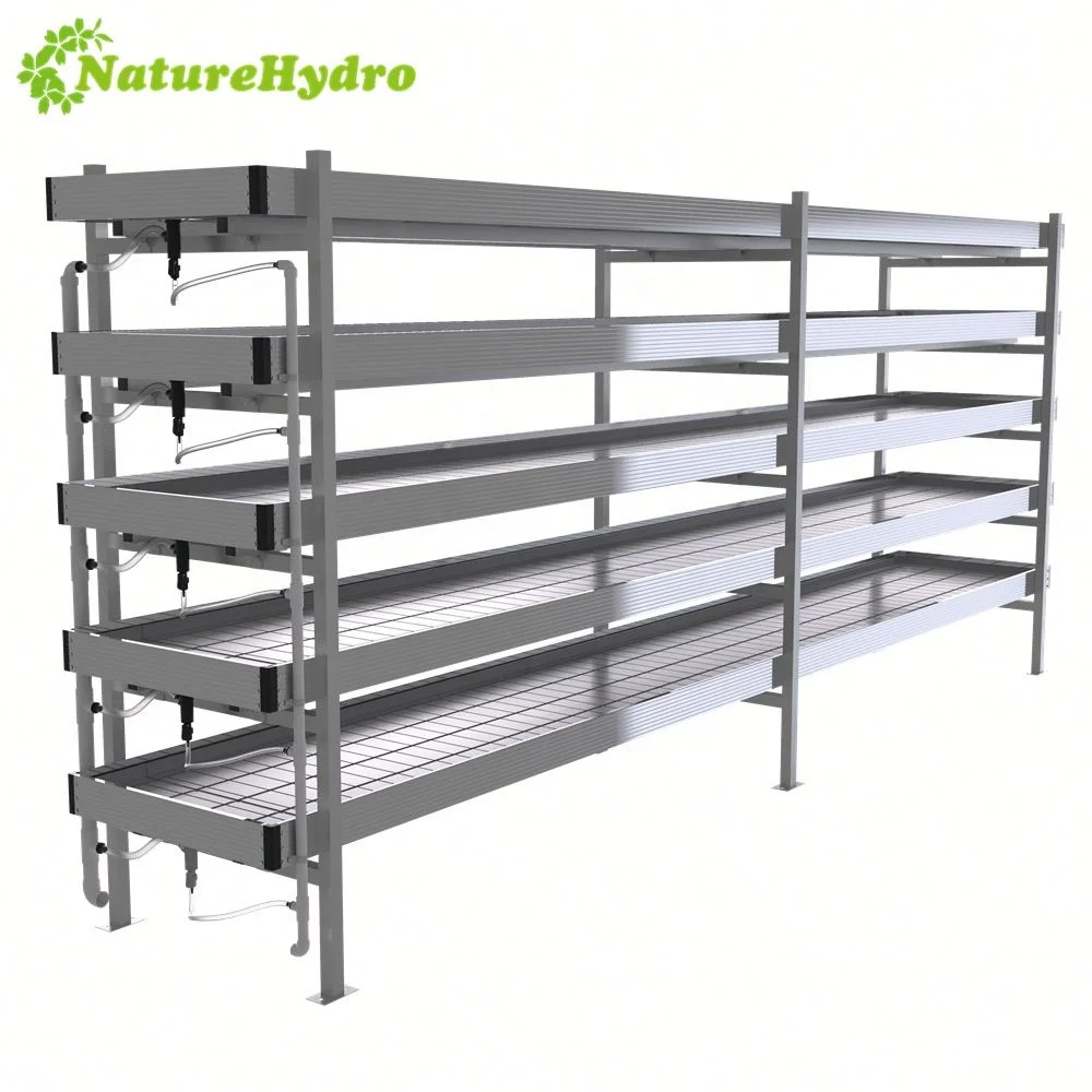 Hemp Grow Rack Ventilation Ebb Flow Tray