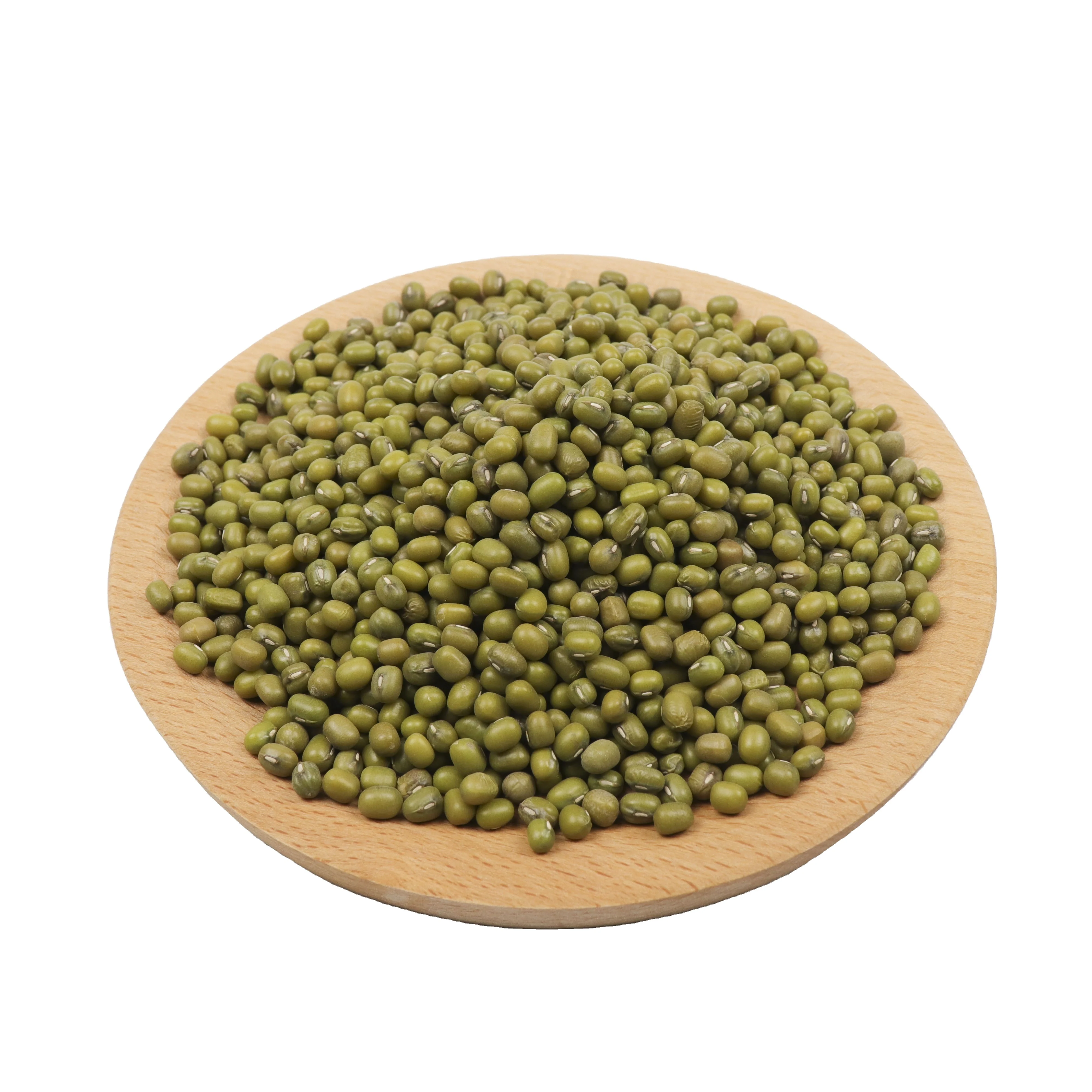
Bulk Mung,green Mung Beans Vigna Beans Mung Bean Sprouted&food Grade Organic Dried oil seeds 