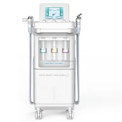 H2O2 Dermabrasion Hydro Facial Clean Oxygen Jet Bubble Aqua Peeling Micro-touch Wonder Beauty Machine
