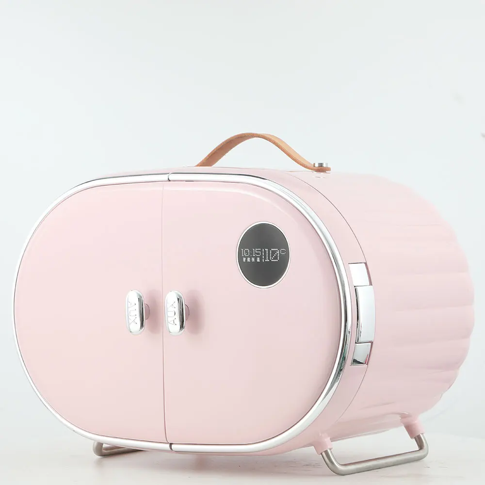 
Оптовая продажа, портативный холодильник для макияжа, 12 В постоянного тока, 10 л, стеклянная дверь под заказ, мини-холодильник для дома 