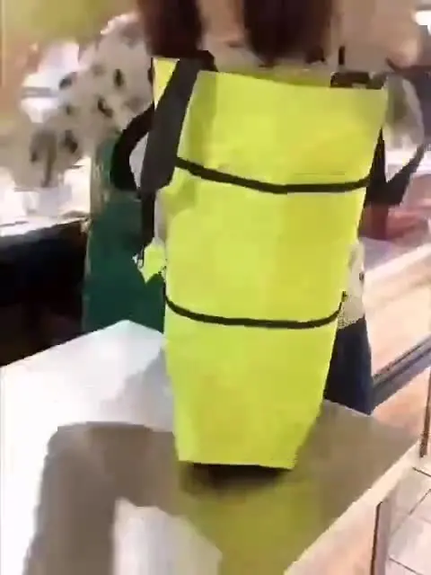 Factory Wholesale Household Fashionable Portable Foldable Shopping Bags Large Capacity Trolley Bag With Wheels
