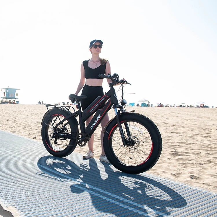 Hot Selling Fat Dual-Battery Electric Dirt Bikes High Quality Cheap 48v 750w E Bicycle