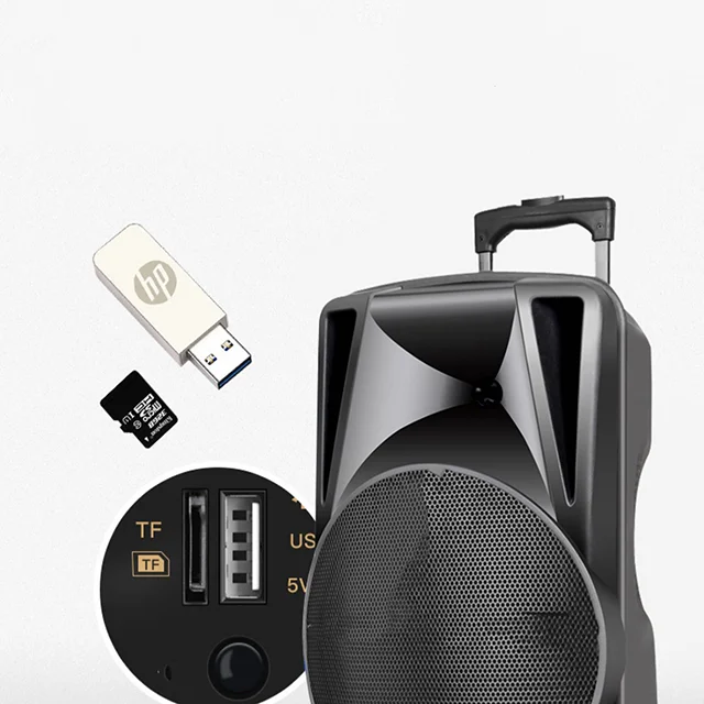 Powerful Rechargeable 12 Inch Mobile Trolley Speakers Party Stage Light karaoke players Big Blue tooth Speaker