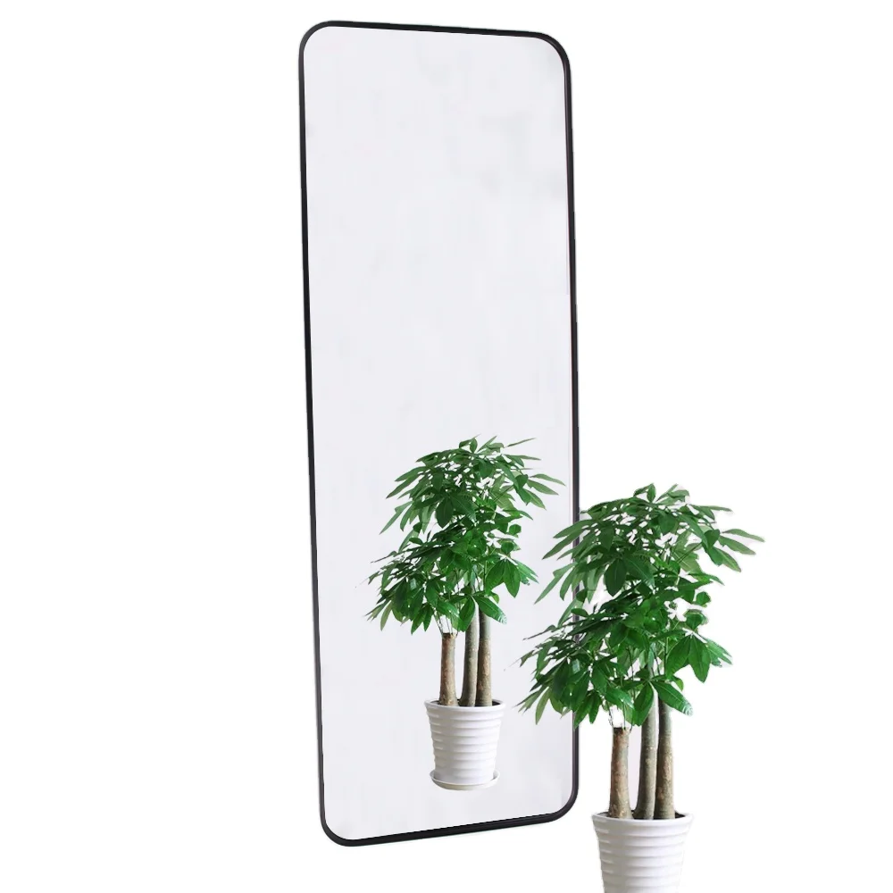 Plastic Full Length Hanging Door Mirror/Black White Grey Wood  Door Mirror Support Customized