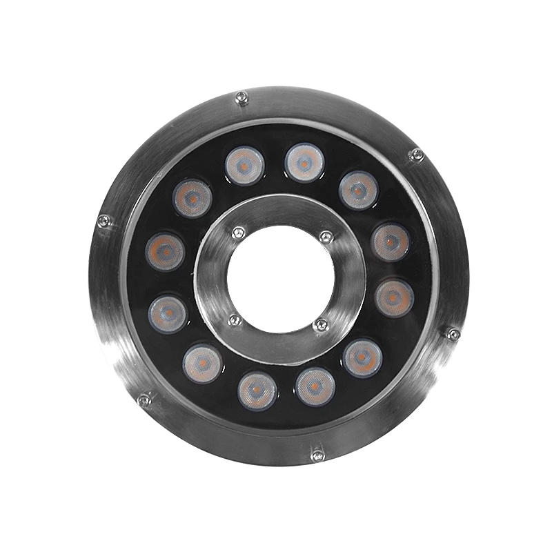 12W Ring Ss Submersible 12V Water Dmx Control 24V  Colorful Led Fountain Light Fixtures Pond Led Underwater Light For Fountains