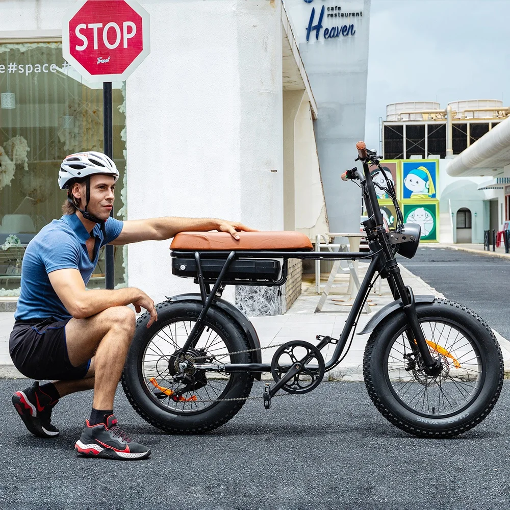 Dirt Bike 500w Mountain Bike Powerful Motor 10ah Battery Fat Tire Bike