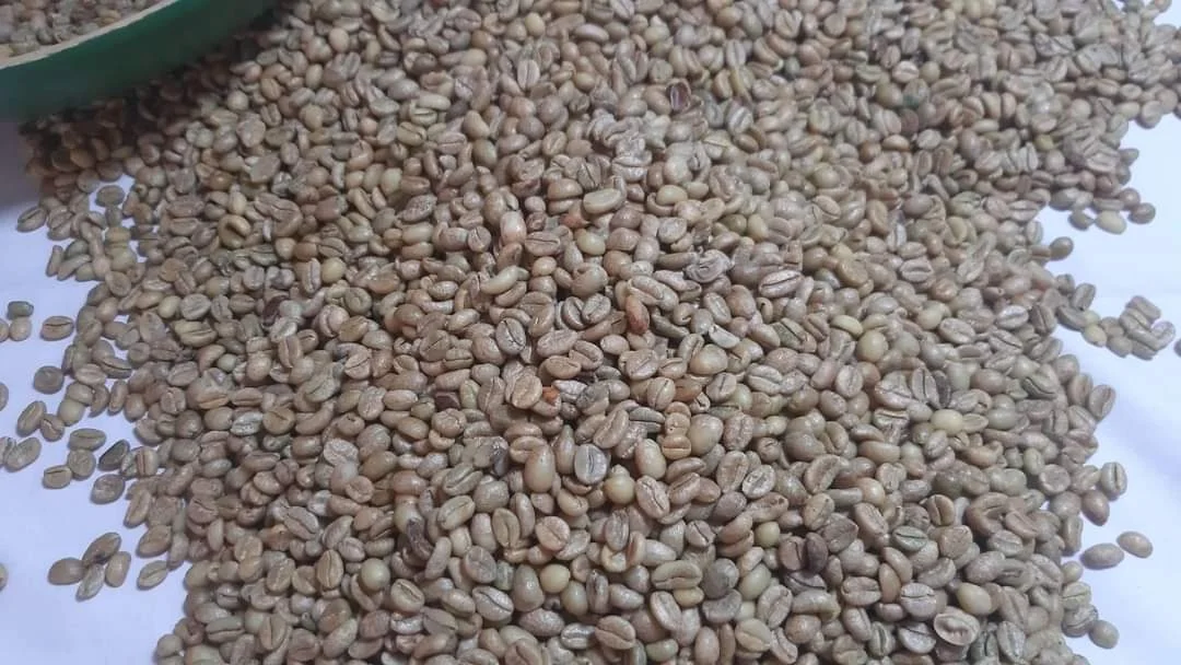 2021  Wholesales Good Quality Arabica Coffee Vietnam