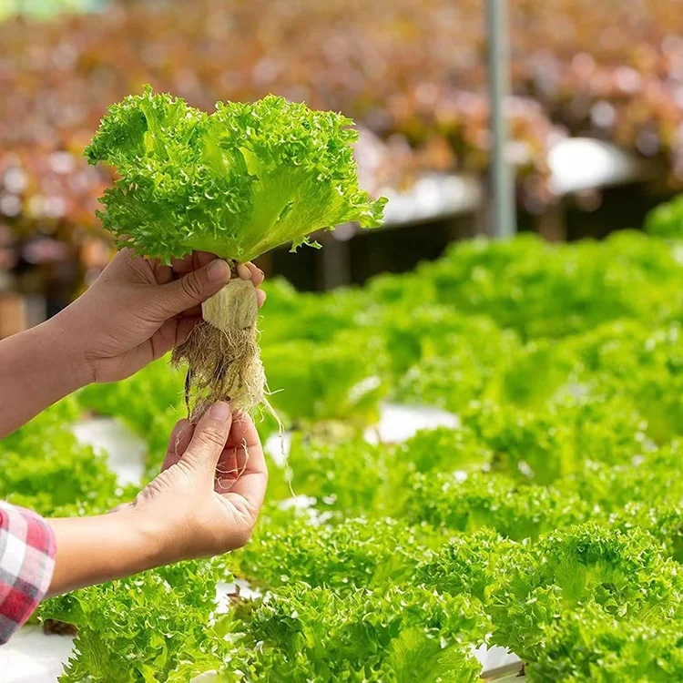 Wholesale Cheap Agricultural Rock Wool Grow Block Cubes Hydroponic Rock Wool For Seedlings Vegetables Flowers