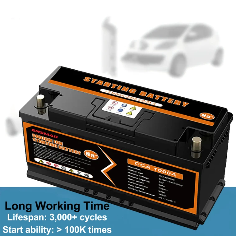 Lifespan -Car