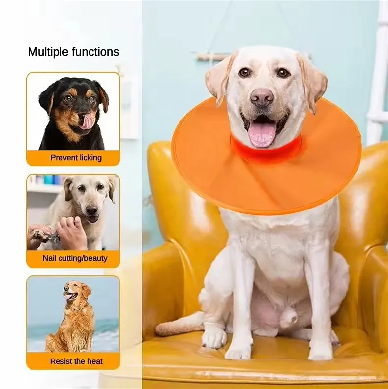 2024 Hot selling Custom Color Elizabeth Color for Dog Circle Collar Neck Ring Anti-Licking or Anti-biting
