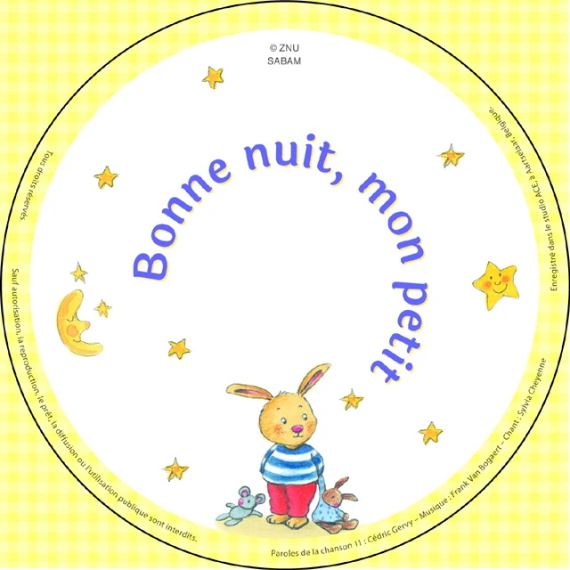 Пользовательская съемка CD DVD дисков в
