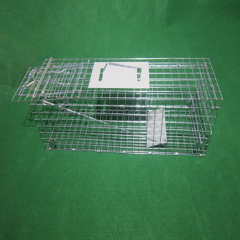 Pest Control Large Wild Animal Coyote Raccoon Live Trap