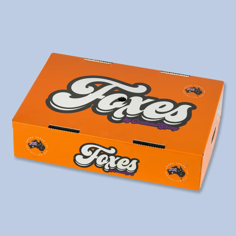 PE Box Low Price Customized Anti-static PE Plastic Storage Box  Wax coated cardboard box for fruit and vegetable packaging