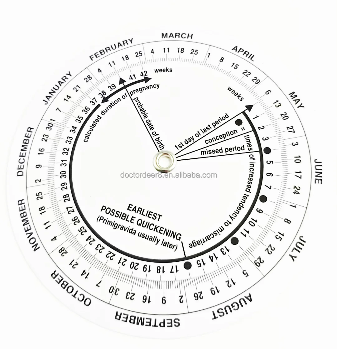 Customizable Plastic Obstetrics Wheel Calculator Gestation Born Date Chart Due Date Pregnancy Disc for Hospital/Clinic Use