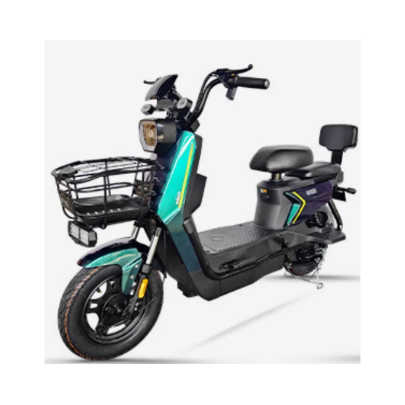 High Quality Best Price Factory Direct Wholesale Manufacturers Two-Wheeled Electric 60V/72V 500W/1000W Bicycle For Two people