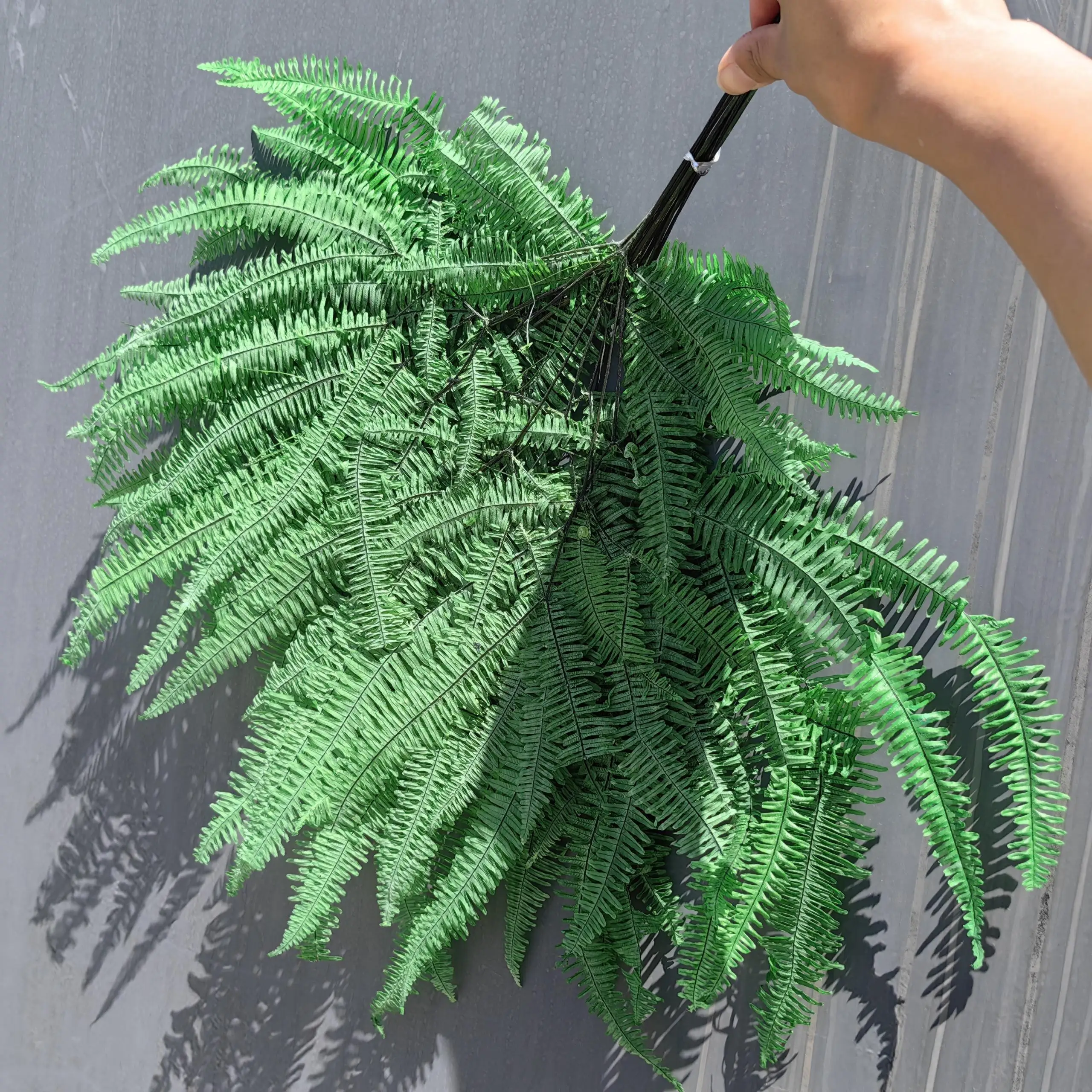 Wholesale Supply Preserved Colorful Leaves Preserved Spire Fern Leaves Fern For DIY Leaves