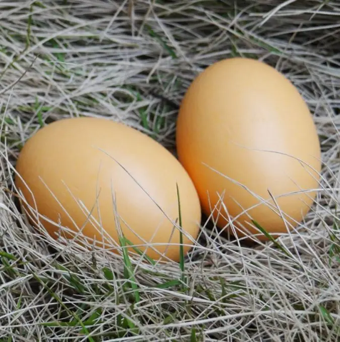 Creative Simulation Easter Diy Colorful Wooden Painting Egg Easter Party Ornament Decoration