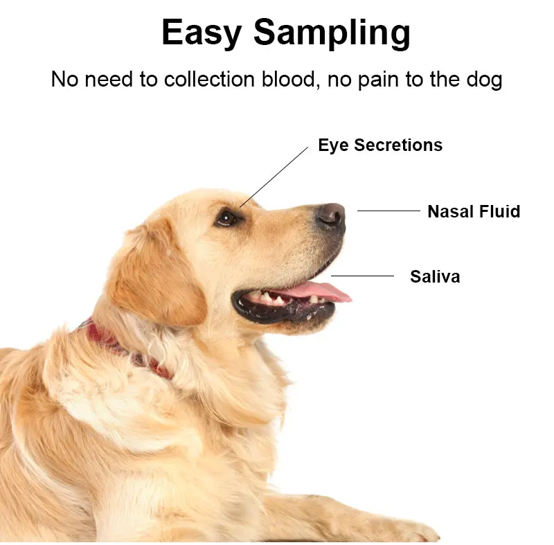 Dog  cat home use testing Cdv Cpv FPV  Pet Feline Parvovirus antigen Giardia Ag pet Rapid Test Kit