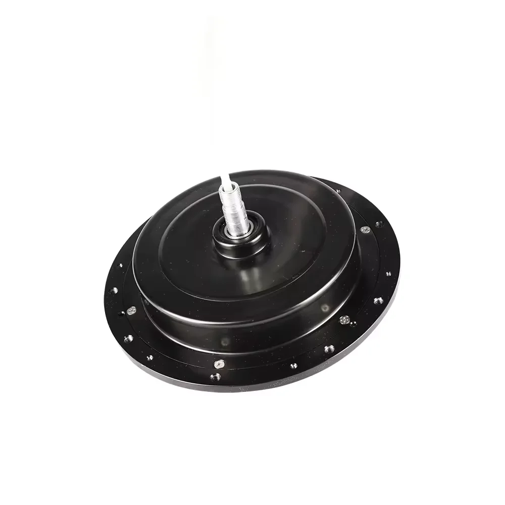 Good price External 12 Volt Brushless Dc Motor 1400Mm Parts W Bldc Ceiling Fan Motor Body ceiling fan decorative