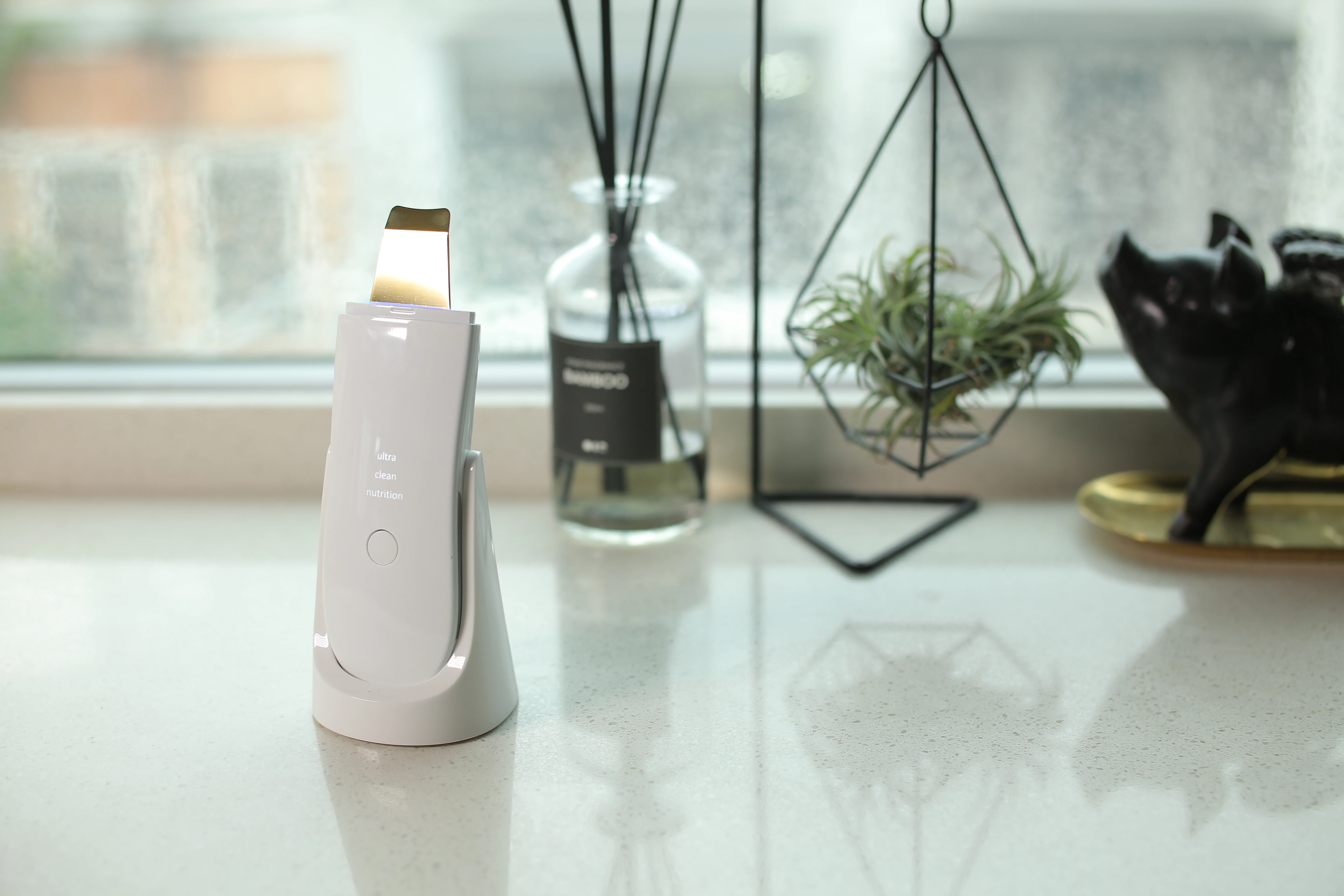 New Arrival Sonic Facial Spatula Skin Exfoliator Beauty Peel Machine Pore Deep Cleanings Diy Spray Mist Skin Scrubber