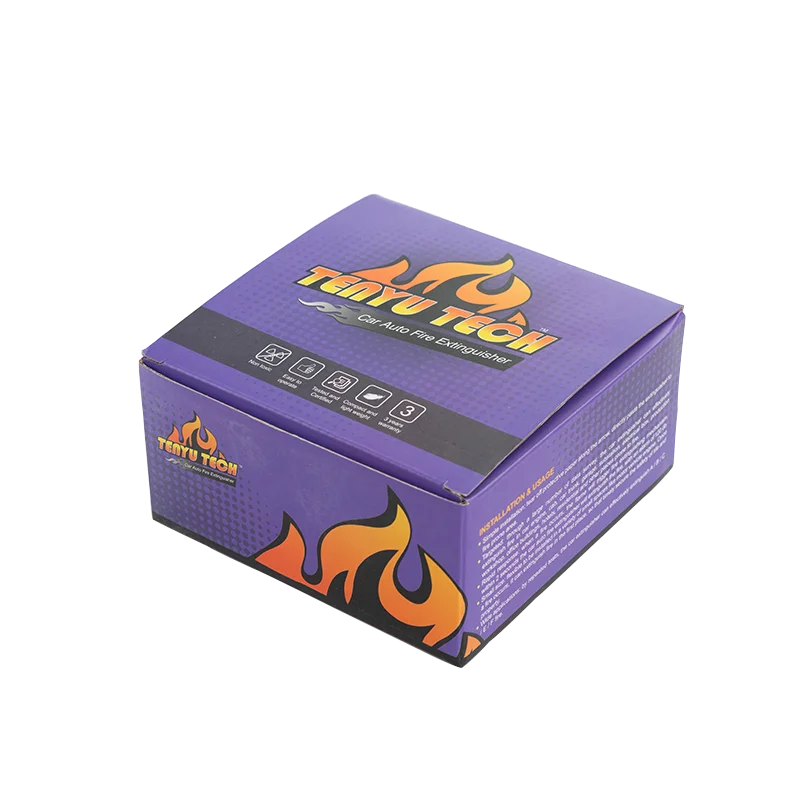 TENYU TECH Portable Size Dry Powder Car Fire Extinguisher